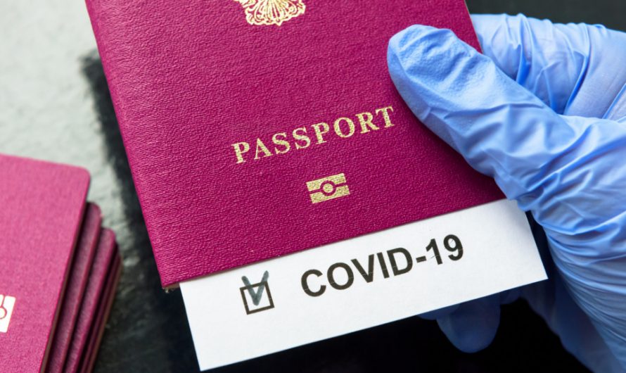 Ковид-паспорта: как это будет работать